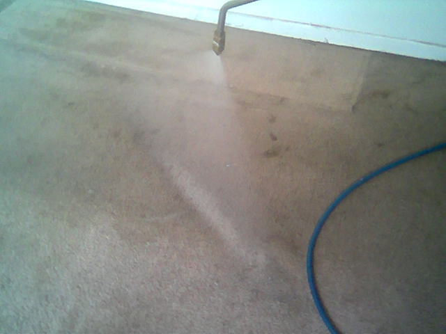Carpet Pre-Conditioner
