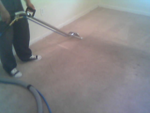 Carpet Cleaning