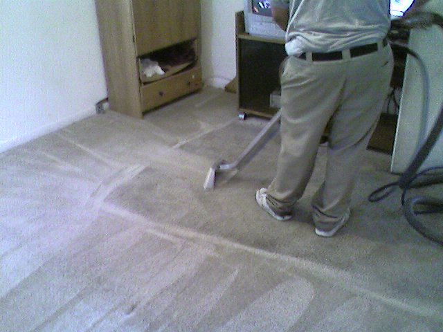 Steam carpet Cleaning