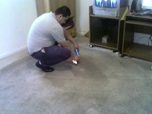 Stain & Spot Removal