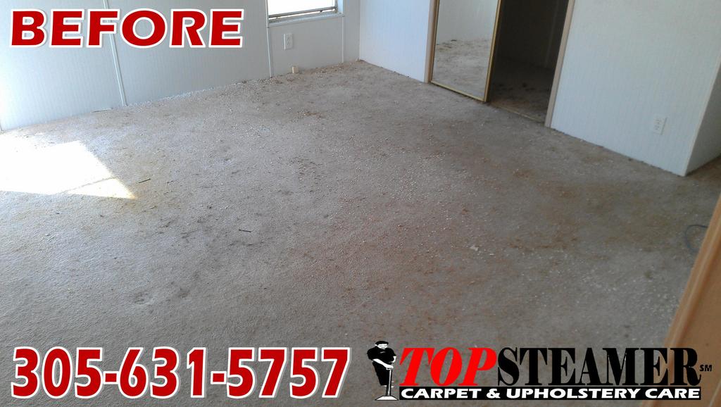 Carpet Cleaning Homestead
